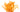 cordyceps image of mushroom