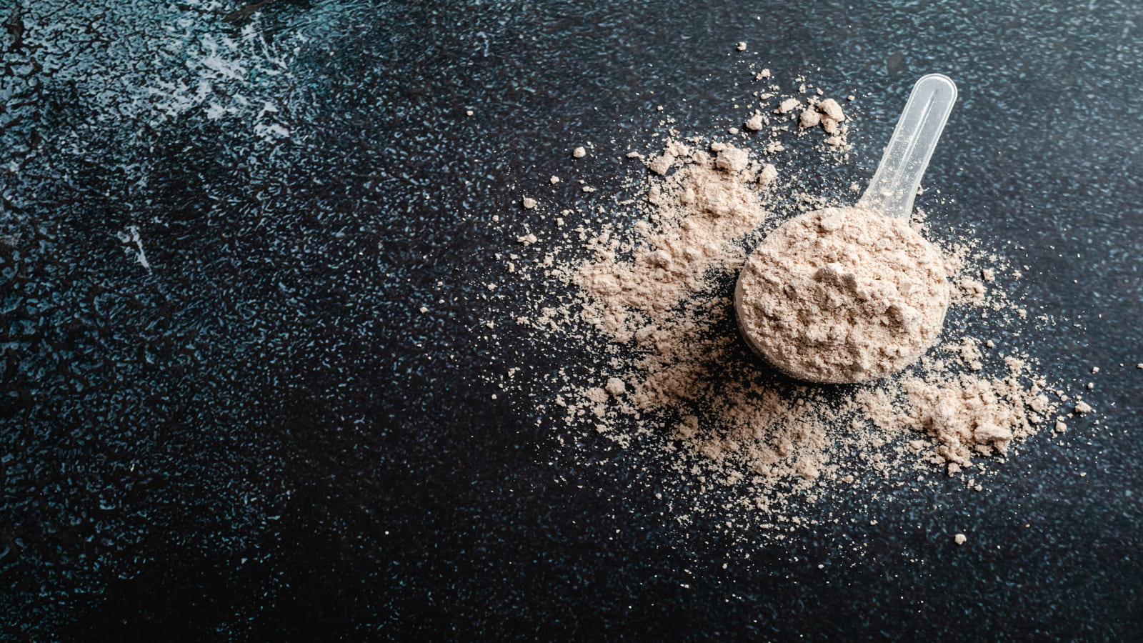 scoop of protein powder