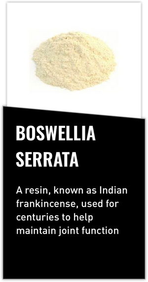 Mdrive ingredient Boswellia Serrata