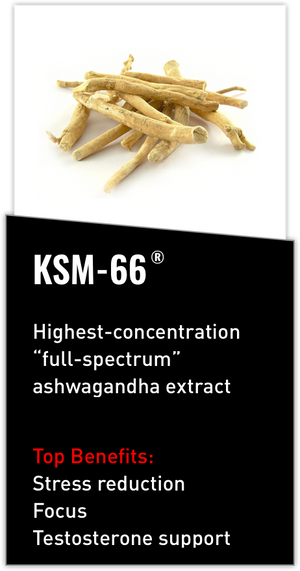 Mdrive ingredient KSM-66