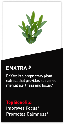 Mdrive ingredient EnXtra